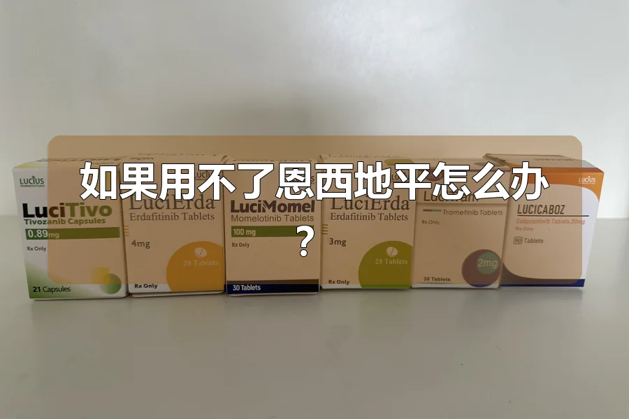 如果用不了恩西地平怎么办？